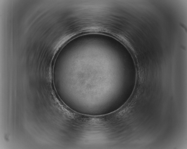 X0000100960839200806241525