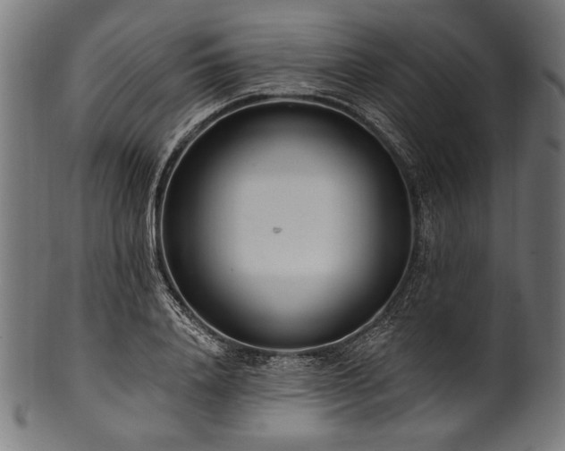 X0000100960840200806241525