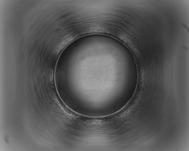 X0000100960841200806241525