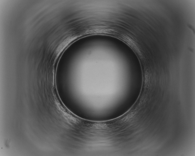 X0000100960844200806241525