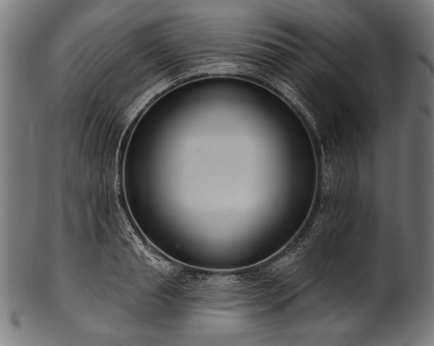 X0000100960845200806241525