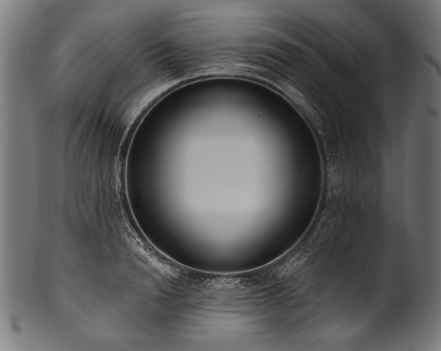 X0000100960846200806241525
