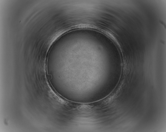 X0000100960847200806241525