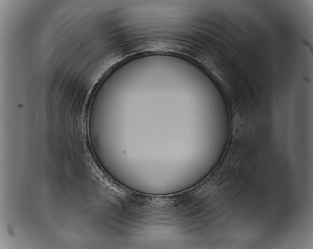 X0000100960848200806241525