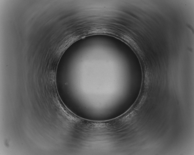 X0000100960849200806241525