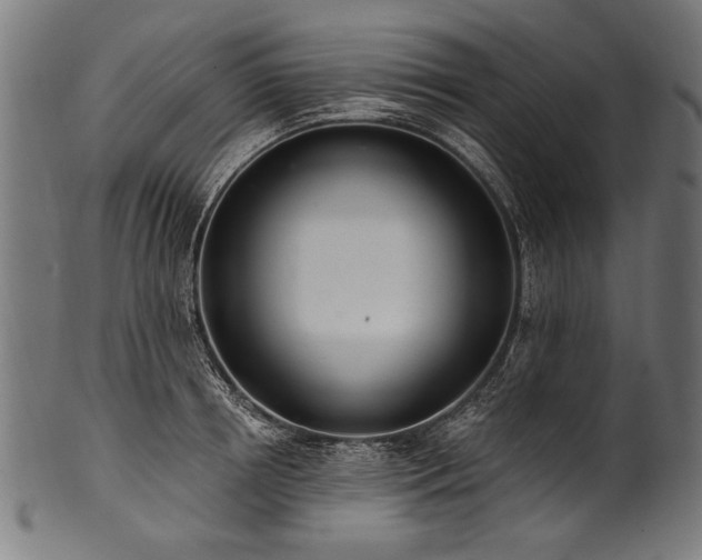 X0000100960850200806241525