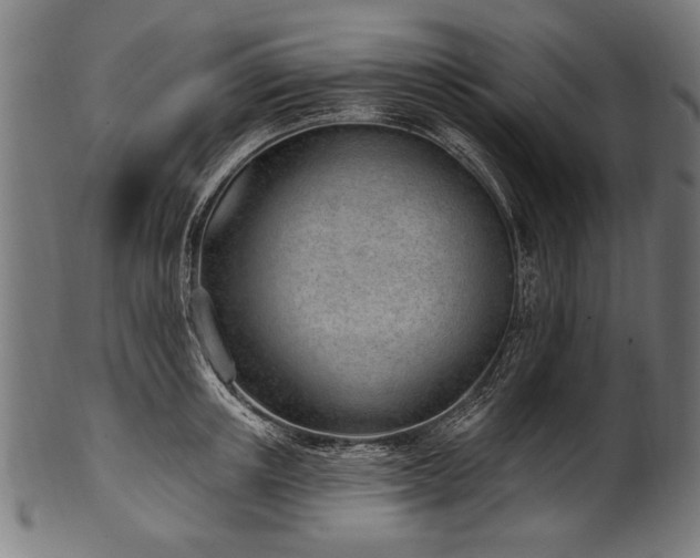 X0000100960851200806241525