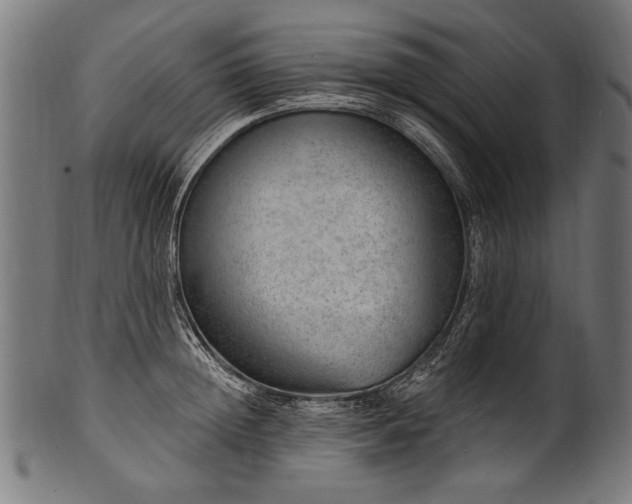 X0000100960852200806241525
