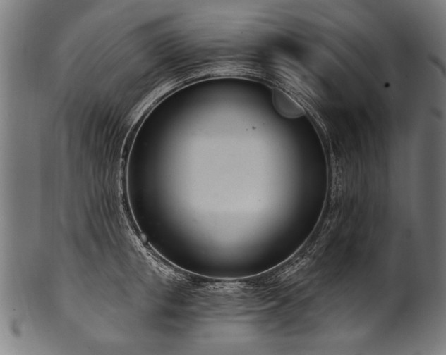 X0000100960853200806241525