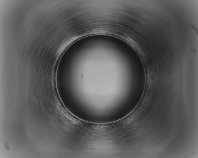 X0000100960854200806241525