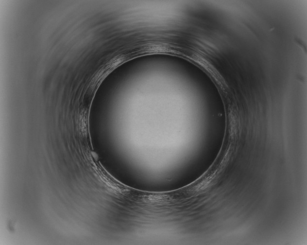 X0000100960857200806241525