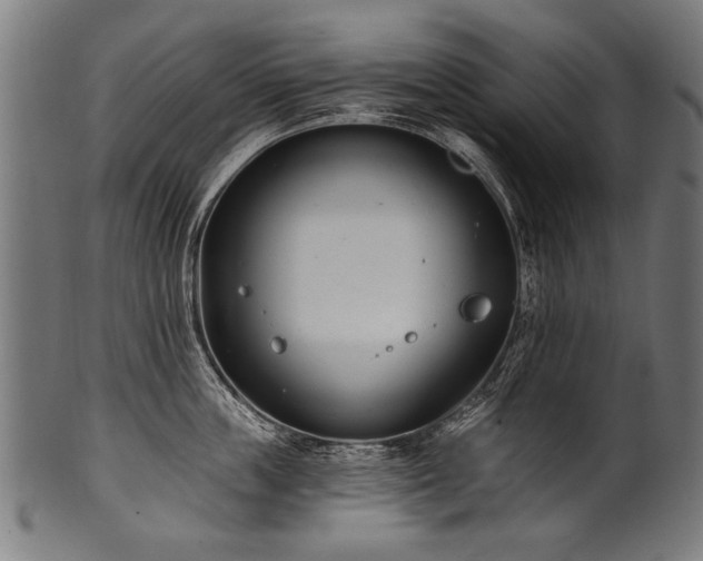 X0000100960859200806241525