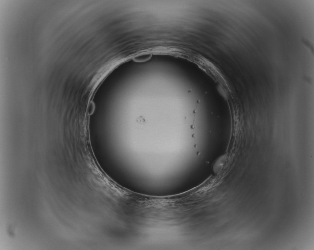 X0000100960860200806241525