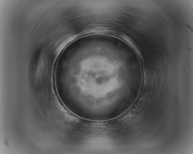 X0000100960861200806241526