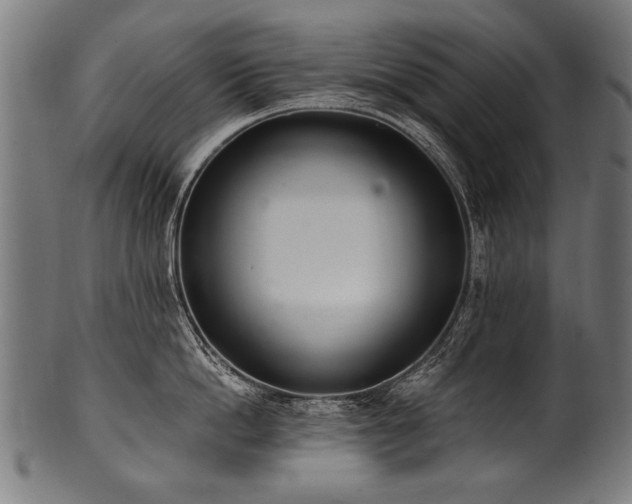 X0000100960862200806241526