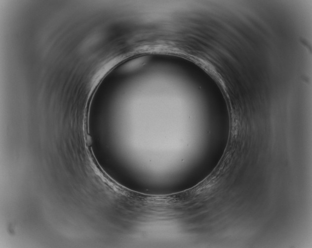 X0000100960863200806241526