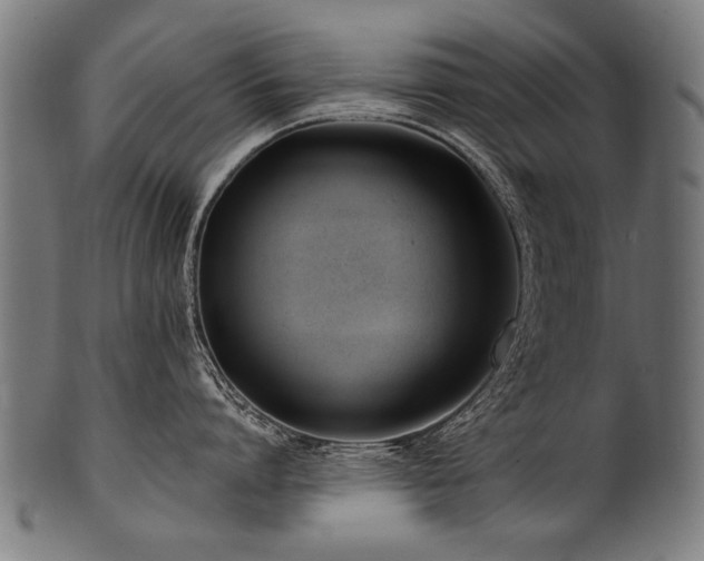 X0000100960864200806241526