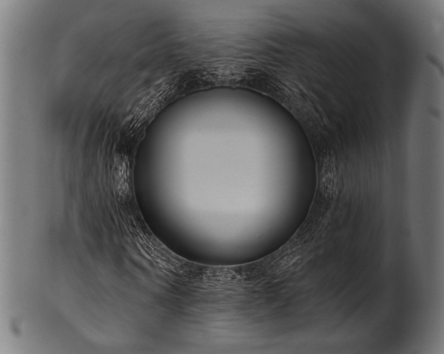 X0000100960866200806241525