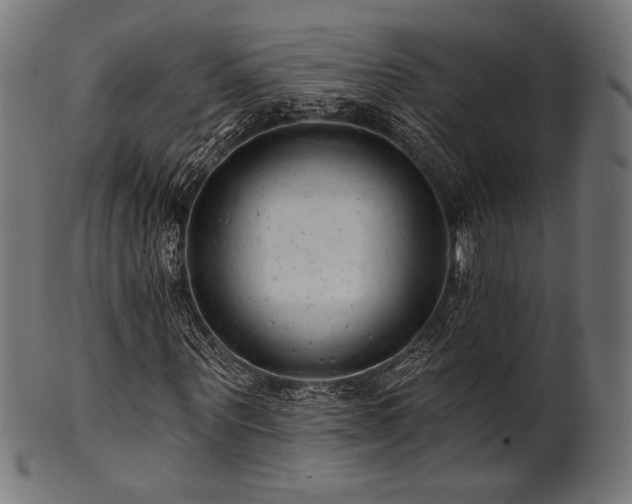 X0000100960867200806241525