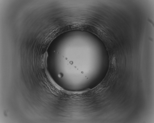 X0000100960868200806241525