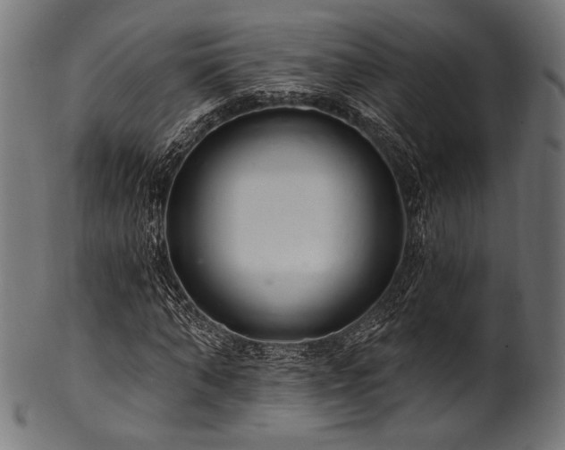 X0000100960870200806241525