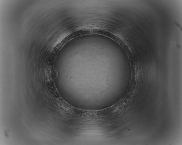 X0000100960871200806241525