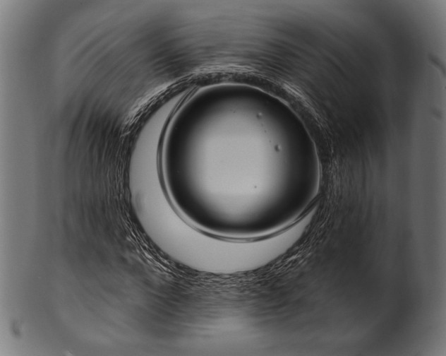 X0000100960872200806241525
