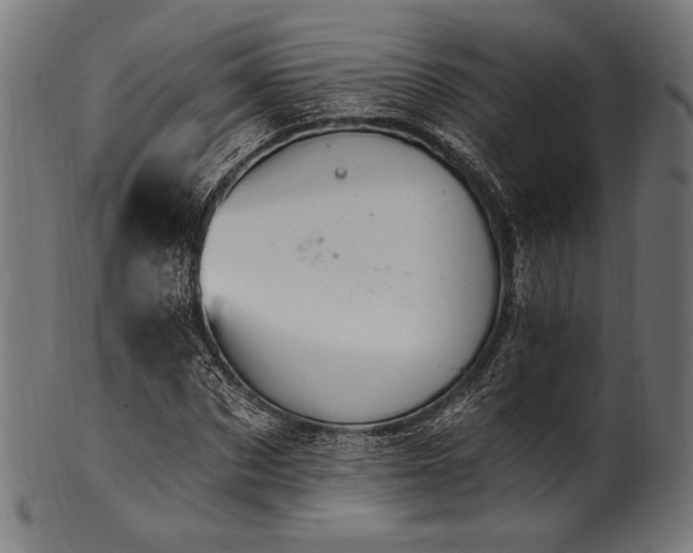 X0000100960873200806241525