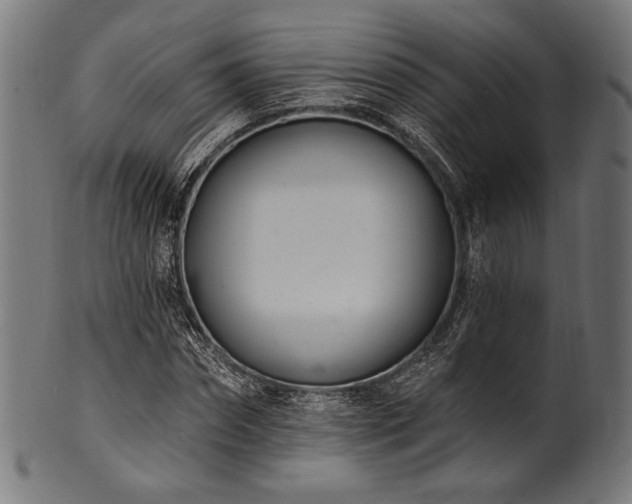 X0000100960874200806241525