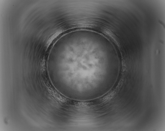 X0000100960875200806241525