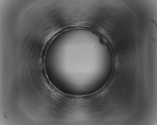 X0000100960876200806241525