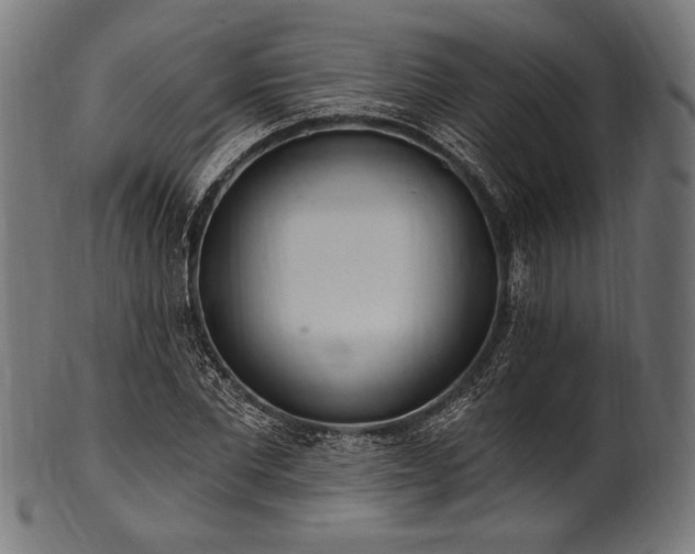 X0000100960877200806241525