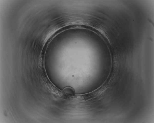 X0000100960879200806241525