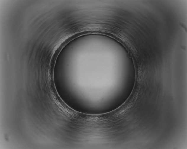 X0000100960880200806241525