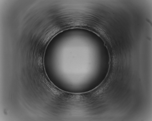 X0000100960881200806241525