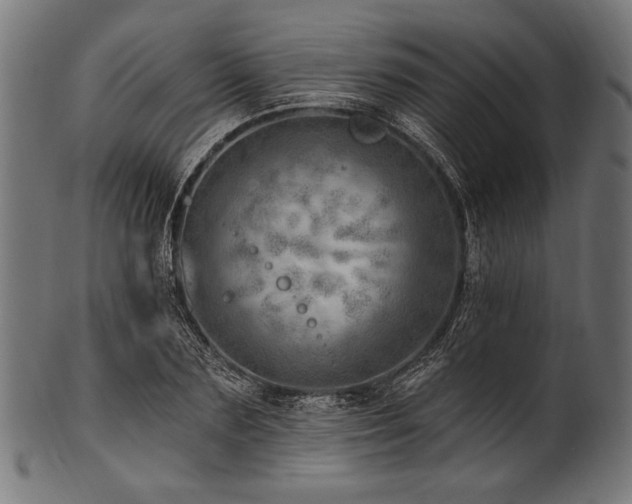 X0000100960883200806241525