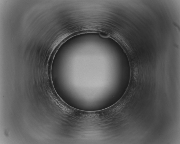 X0000100960884200806241525