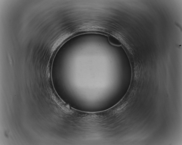 X0000100960885200806241525