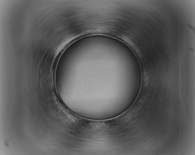 X0000100960886200806241525