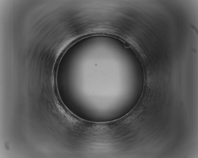 X0000100960888200806241525