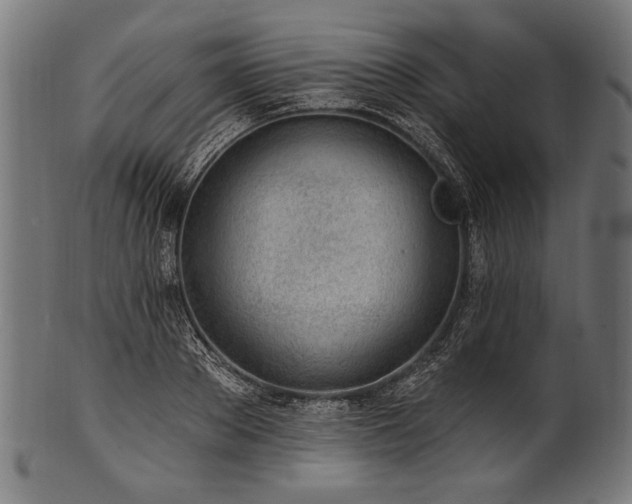 X0000100960889200806241525