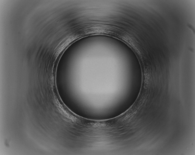 X0000100960890200806241525