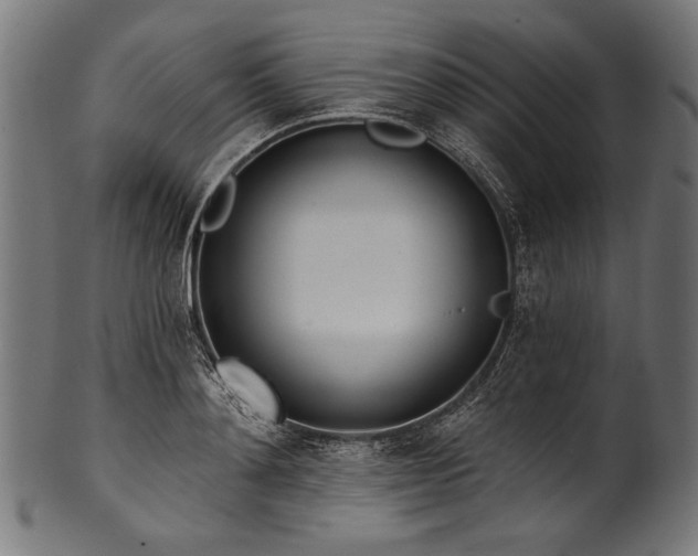 X0000100960892200806241525