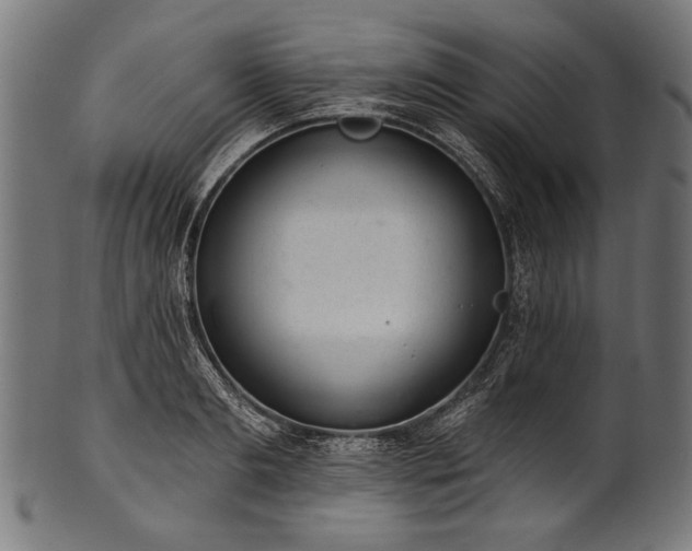 X0000100960893200806241524