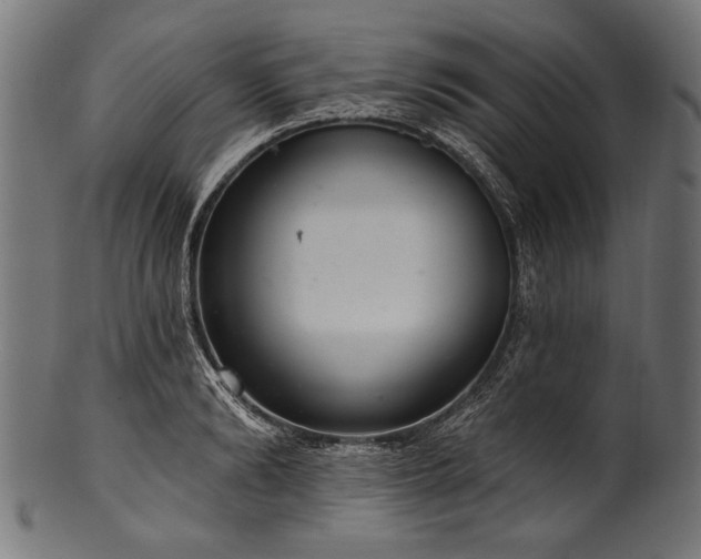 X0000100960894200806241524