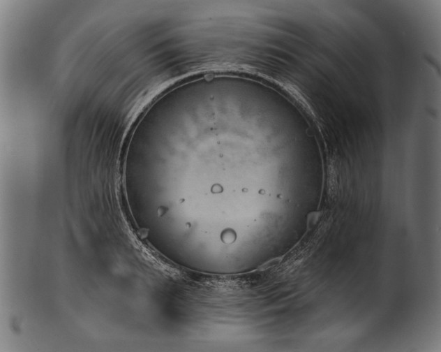 X0000100960895200806241524
