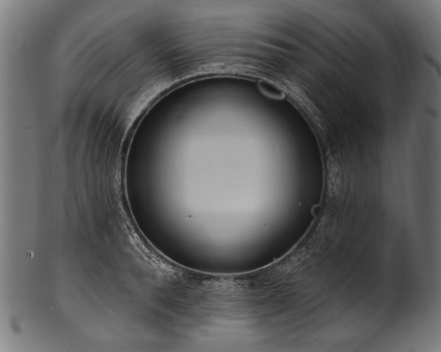 X0000100960896200806241524