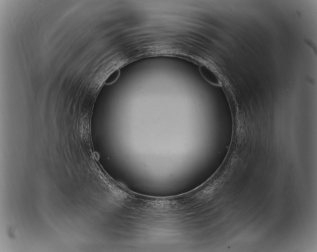 X0000100960897200806241524