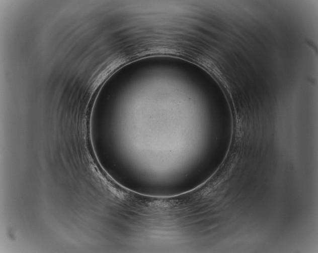 X0000100960898200806241524