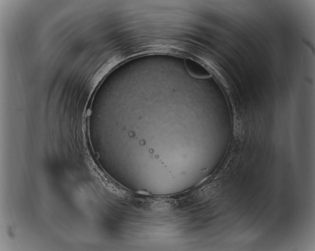 X0000100960899200806241524